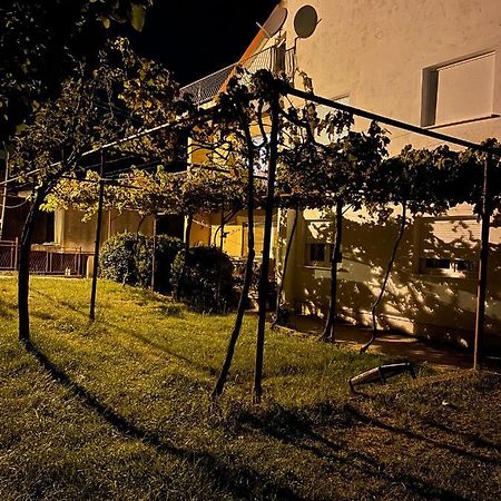 Entire Spacious Apartment With Free Parking Podgorica Eksteriør bilde