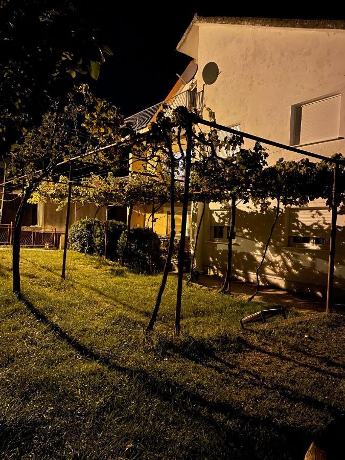 Entire Spacious Apartment With Free Parking Podgorica Eksteriør bilde